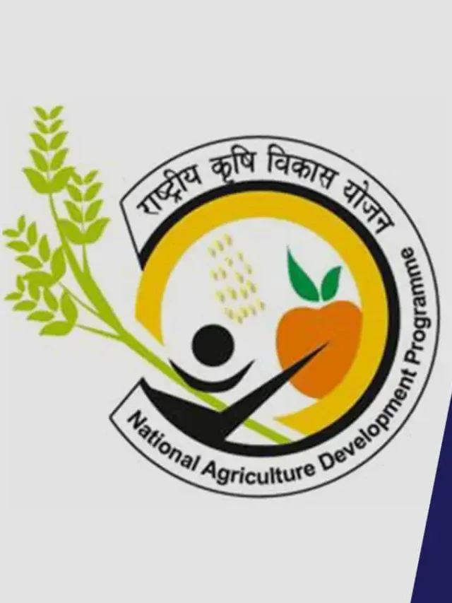 पीएम राष्ट्रीय कृषि विकास योजना (PM-RKVY) 2024 । किसानो को मिलेंगे 1 लाख करोड, जानें कैसे…