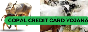 Gopal Credit Card Yojana