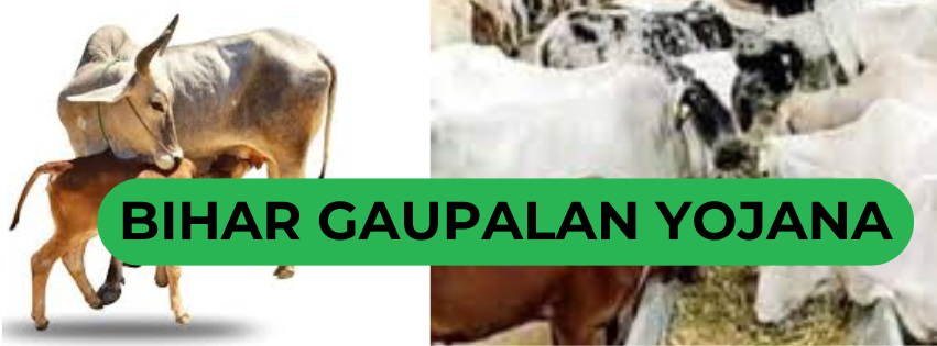 bihar gaupalan yojana